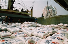  Xuất khẩu gạo tháng 4 không đạt kế hoạch